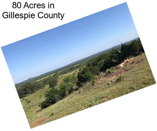 80 Acres in Gillespie County