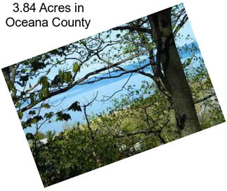 3.84 Acres in Oceana County
