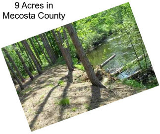 9 Acres in Mecosta County