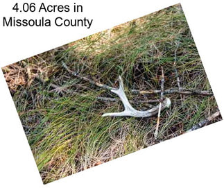 4.06 Acres in Missoula County