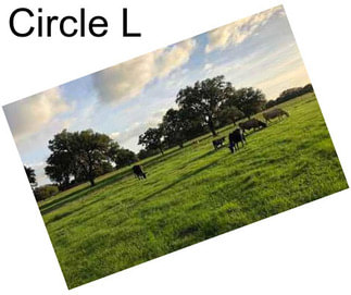 Circle L