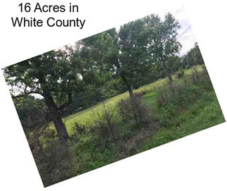 16 Acres in White County