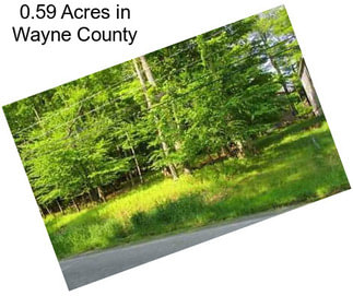 0.59 Acres in Wayne County