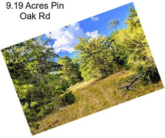 9.19 Acres Pin Oak Rd