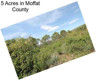 5 Acres in Moffat County