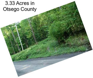 3.33 Acres in Otsego County