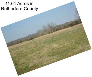 11.61 Acres in Rutherford County