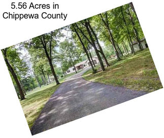 5.56 Acres in Chippewa County