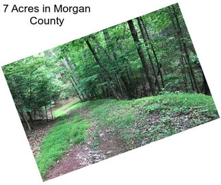 7 Acres in Morgan County