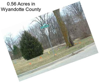 0.56 Acres in Wyandotte County