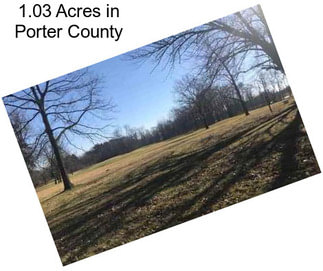 1.03 Acres in Porter County