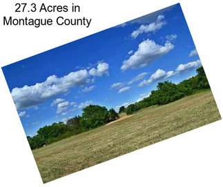 27.3 Acres in Montague County