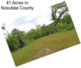 41 Acres in Noxubee County
