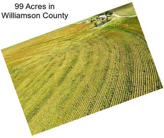 99 Acres in Williamson County