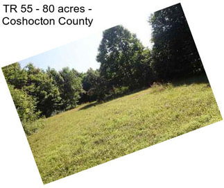 TR 55 - 80 acres - Coshocton County