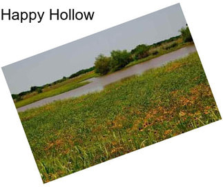 Happy Hollow