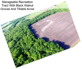 Manageable Recreation Tract With Black Walnut Groves And Tillable Acres