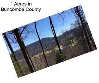 1 Acres in Buncombe County