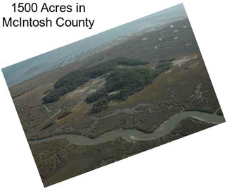 1500 Acres in McIntosh County