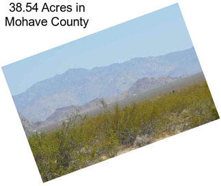 38.54 Acres in Mohave County