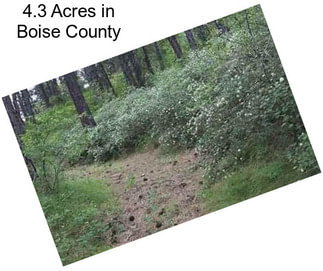 4.3 Acres in Boise County