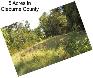 5 Acres in Cleburne County