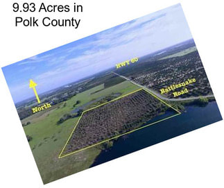 9.93 Acres in Polk County