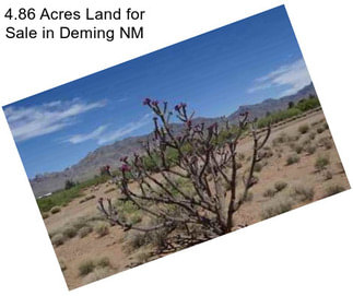 4.86 Acres Land for Sale in Deming NM