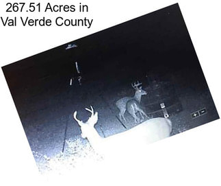 267.51 Acres in Val Verde County