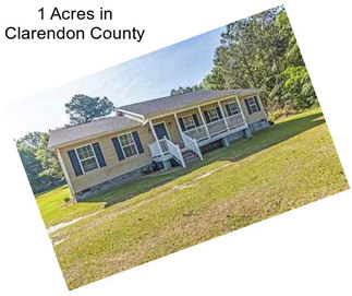 1 Acres in Clarendon County
