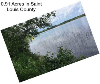 0.91 Acres in Saint Louis County