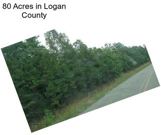 80 Acres in Logan County