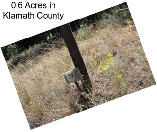 0.6 Acres in Klamath County