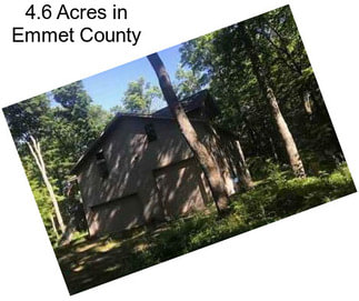 4.6 Acres in Emmet County