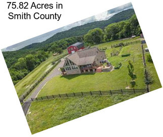 75.82 Acres in Smith County