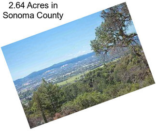 2.64 Acres in Sonoma County