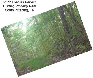 93.91+/-acres Perfect Hunting Property Near South Pittsburg, TN