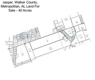 Jasper, Walker County, Metropolitan, AL Land For Sale - 40 Acres