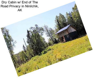 Dry Cabin w/ End of The Road Privacy in Ninilchik, AK