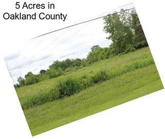 5 Acres in Oakland County