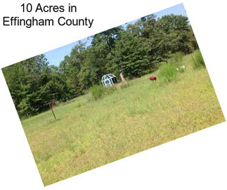 10 Acres in Effingham County