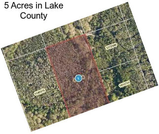 5 Acres in Lake County
