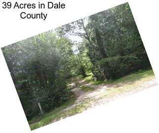 39 Acres in Dale County