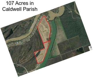 107 Acres in Caldwell Parish