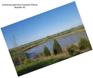 Universal Land and Livestock Parcel Number 43