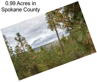 0.99 Acres in Spokane County