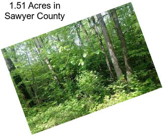 1.51 Acres in Sawyer County