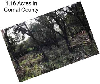 1.16 Acres in Comal County