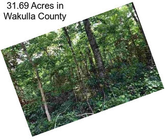 31.69 Acres in Wakulla County