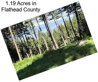1.19 Acres in Flathead County